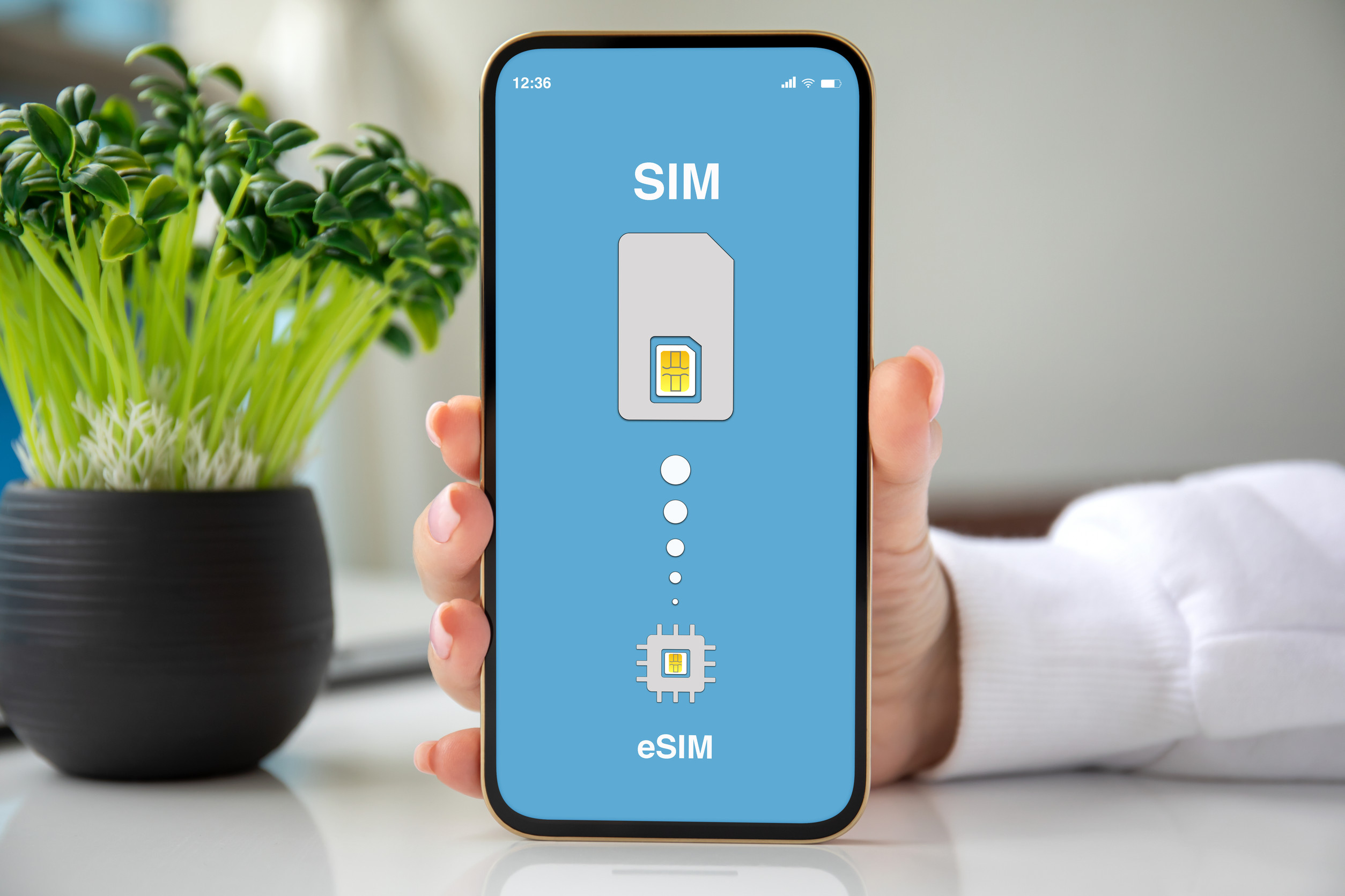 Female Hand Holding Phone With Sim Card Replacement