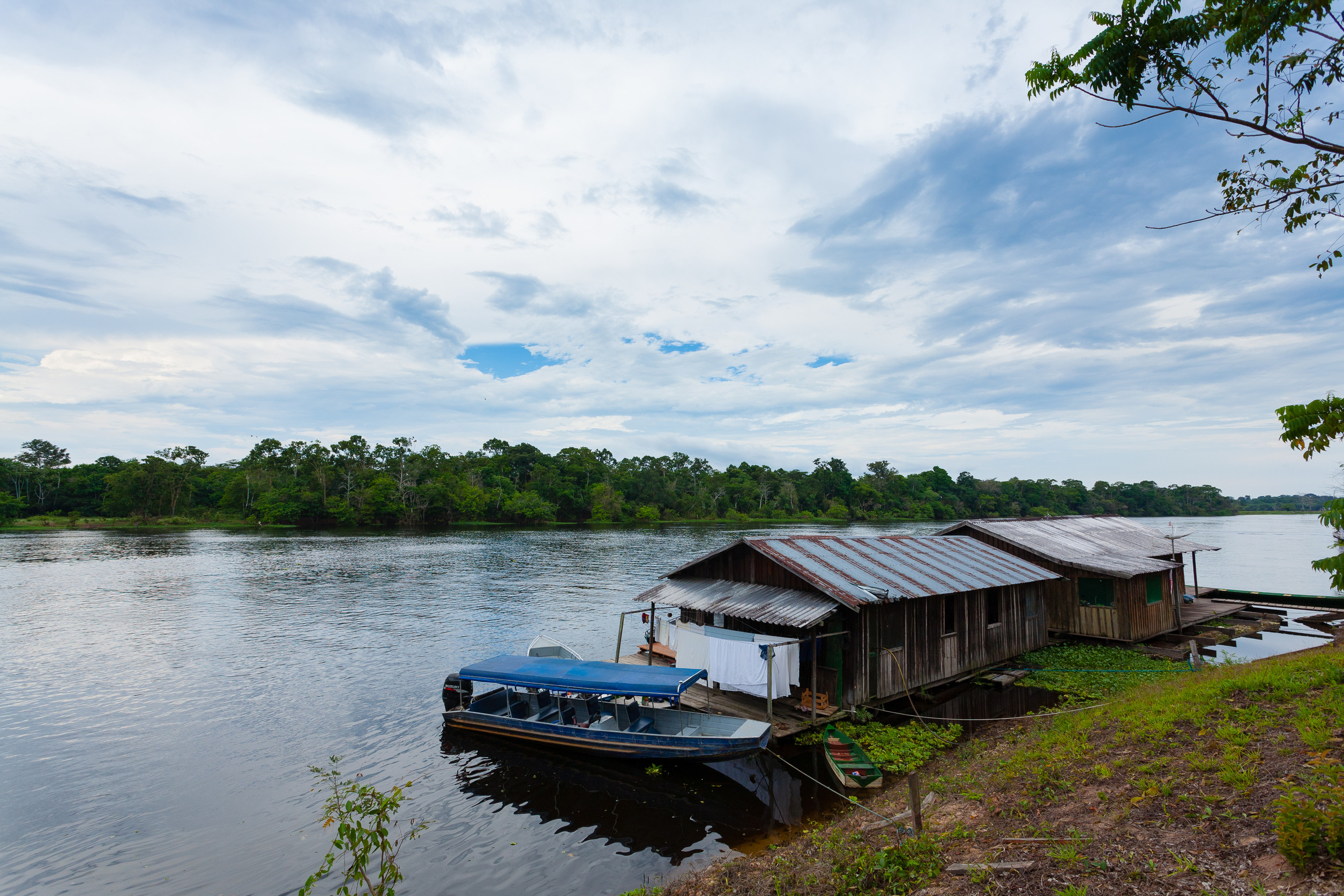 Houses Along The Amazonas River Brazilian Wetland Region