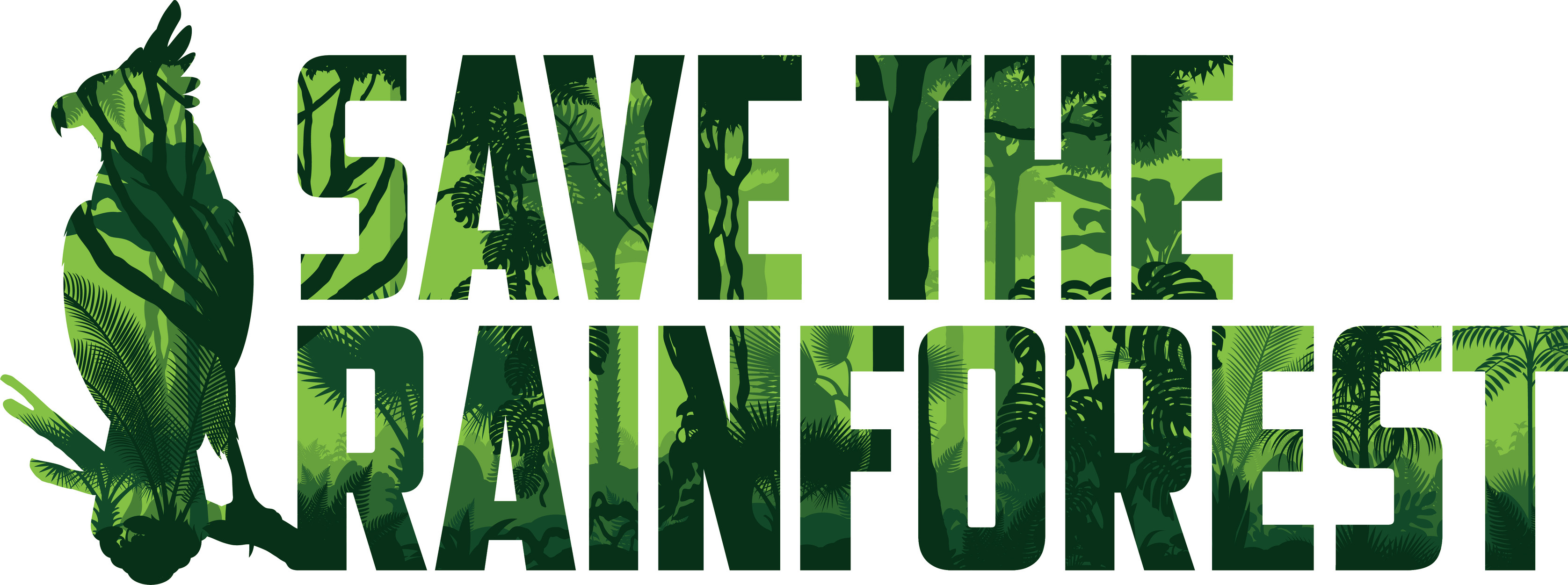 Vector Rainforest Jungle Illustration With Harpy Eagle