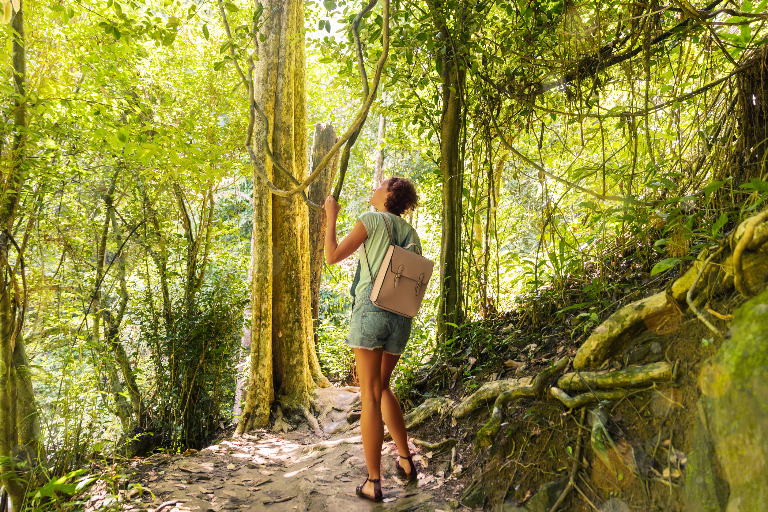 Young Woman With Hiking Bag On A Trekking Trail In Tropical Rain Forest